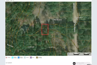 16837 Pine Hollow, Flint, TX 75762 - Photo 1