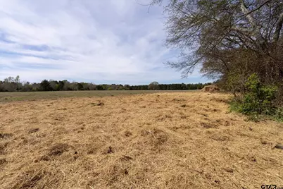 000 County Road 334, Palestine, TX 75803 - Photo 14