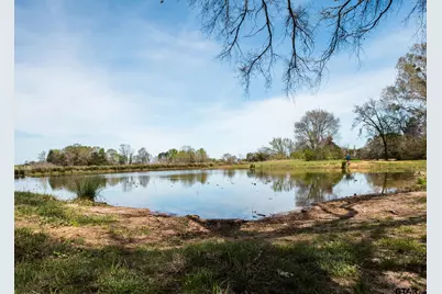 000 County Road 334, Palestine, TX 75803 - Photo 4