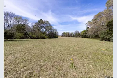 000 County Road 334, Palestine, TX 75803 - Photo 8