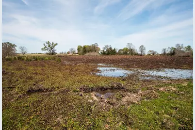 000 County Road 334, Palestine, TX 75803 - Photo 10