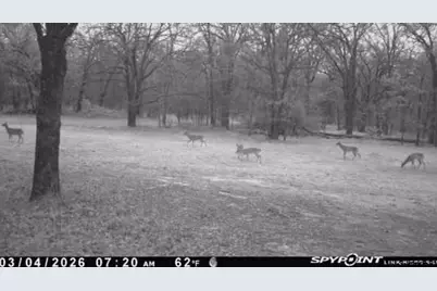 15801 Maple Ln, Malakoff, TX 75148 - Photo 16