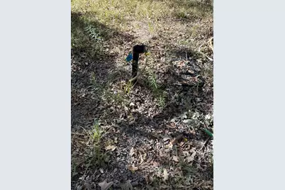 15801 Maple Ln, Malakoff, TX 75148 - Photo 14