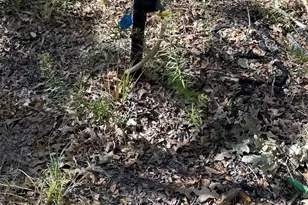 15801 Maple Ln, Malakoff, TX 75148 - Photo 14