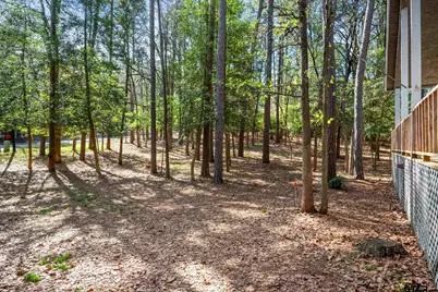 159 Cherrywood Lane, Holly Lake Ranch, TX 75765 - Photo 24