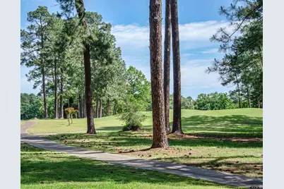 159 Cherrywood Lane, Holly Lake Ranch, TX 75765 - Photo 30