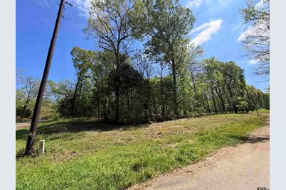 Lot 1&2 Pelican Drive, Winnsboro, TX 75494 - Photo 2