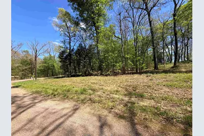 Lot 1&2 Pelican Drive, Winnsboro, TX 75494 - Photo 1