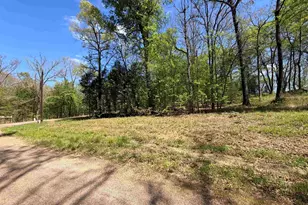 Lot 1 2 Pelican Dr, Winnsboro, TX 75494 - Photo 1