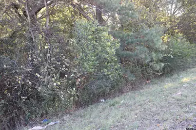 Tbd E Webster Street @ Walcott, Jefferson, TX 75657 - Photo 22