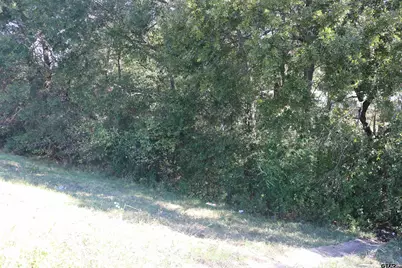 Tbd E Webster Street @ Walcott, Jefferson, TX 75657 - Photo 12