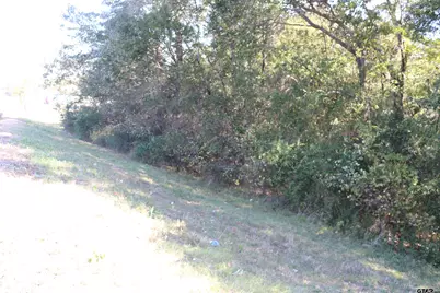 Tbd E Webster Street @ Walcott, Jefferson, TX 75657 - Photo 4