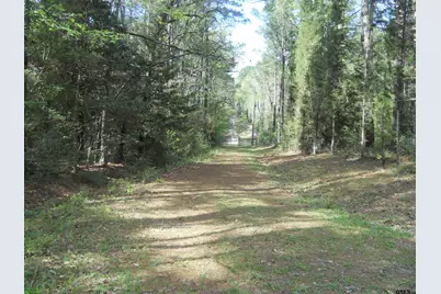 627 Cr 3373, San Augustine, TX 75972 - Photo 10