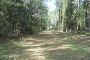 627 Cr 3373, San Augustine, TX 75972 - Photo 10