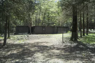 627 Cr 3373, San Augustine, TX 75972 - Photo 2