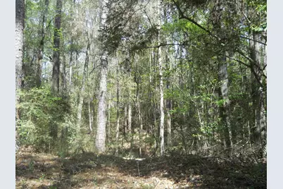 627 Cr 3373, San Augustine, TX 75972 - Photo 12