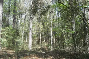 627 Cr 3373, San Augustine, TX 75972 - Photo 12