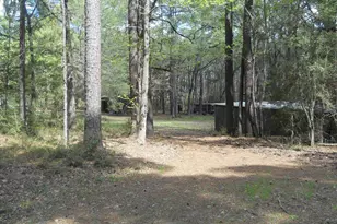 627 Cr 3373, San Augustine, TX 75972 - Photo 8