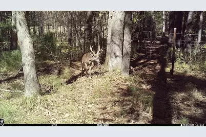 15766 County Road 1130, Flint, TX 75762 - Photo 48