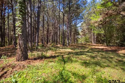 1219 Finklea Road, Hallsville, TX 75650 - Photo 44
