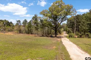 1219 Finklea Rd, Hallsville, TX 75650 - Photo 38