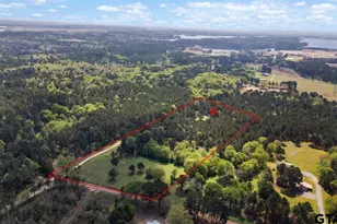 1219 Finklea Rd, Hallsville, TX 75650 - Photo 48