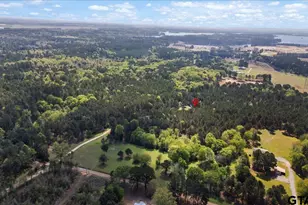 1219 Finklea Rd, Hallsville, TX 75650 - Photo 40