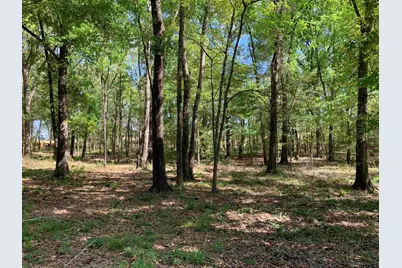 4280 Cr 3703, Athens, TX 75752 - Photo 38