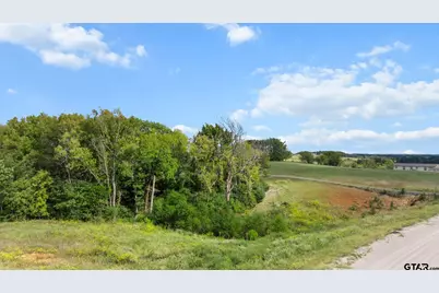 16622 Caeli Heights, Winona, TX 75792 - Photo 4