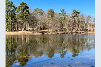 Lot 64 White Oak Creek Ranch, Big Sandy, TX 75755 - Photo 10