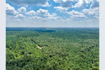 175 Private Road 3900 Rd N/Sid, Gilmer, TX 75644 - Photo 4