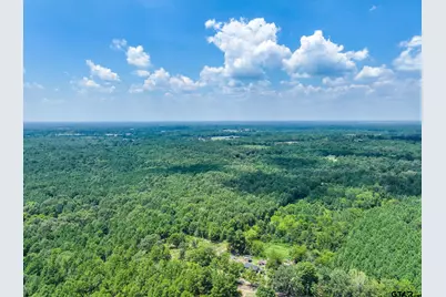 229 Pr 3900 Rd, Gilmer, TX 75644 - Photo 6