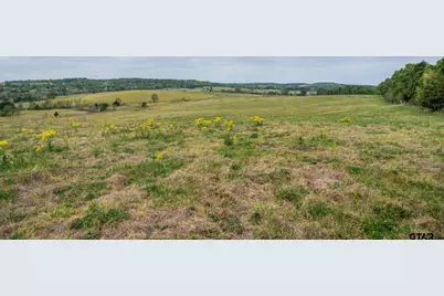 Tbd Hwy 155, Ore City, TX 75683 - Photo 18