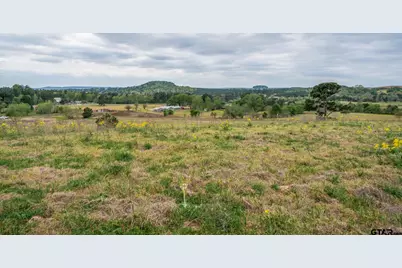 Tbd Hwy 155, Ore City, TX 75683 - Photo 20