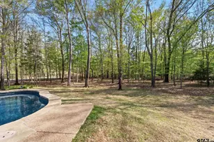 1596 Cooks Crossing, Tyler, TX 75703 - Photo 42