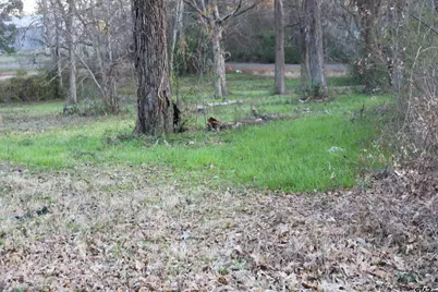 Tbd Morton & Pemberton, Marshall, TX 75670 - Photo 8