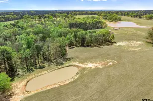 13006 Fm 757, Winona, TX 75792 - Photo 40