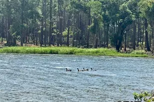 Lot 72A Oak River, Frankston, TX 75763 - Photo 14