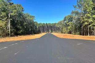 Lot 72A Oak River, Frankston, TX 75763 - Photo 6