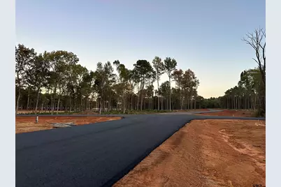 Lot 86 Oak River, Frankston, TX 75763 - Photo 4