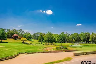 216 Treetop Ln, Hideaway, TX 75771 - Photo 44