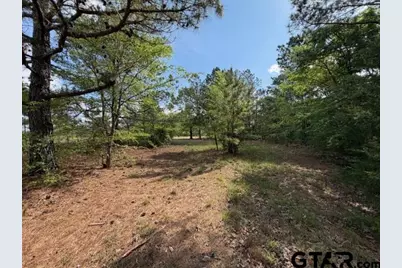1026C An County Road 2218, Tennessee Colony, TX 75861 - Photo 14