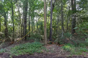 Tbd Cr 1237, Tyler, TX 75703 - Photo 1