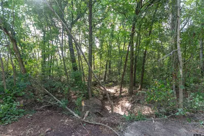 Tbd Cr 1237, Tyler, TX 75703 - Photo 2
