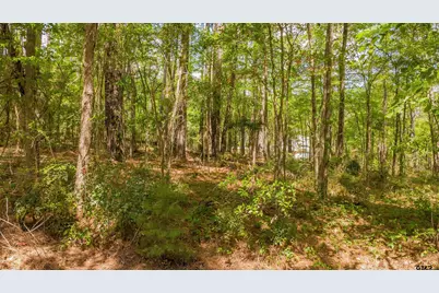 1723 Pineview Lane, Hideaway, TX 75771 - Photo 18