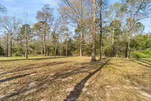 136 W Basil Dr, Diana, TX 75640 - Photo 12