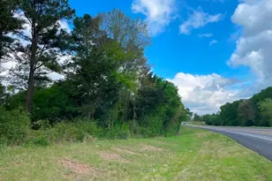 0 N State Hwy 19, Palestine, TX 75803 - Photo 1