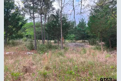 0 N State Hwy 19, Palestine, TX 75803 - Photo 6