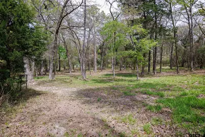 411 Vz County Road 4313, Ben Wheeler, TX 75754 - Photo 36