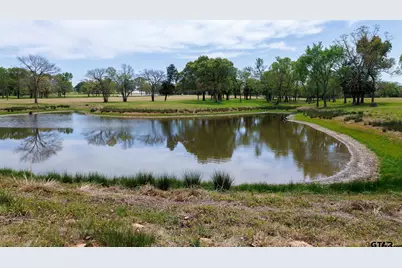 411 Vz County Road 4313, Ben Wheeler, TX 75754 - Photo 8